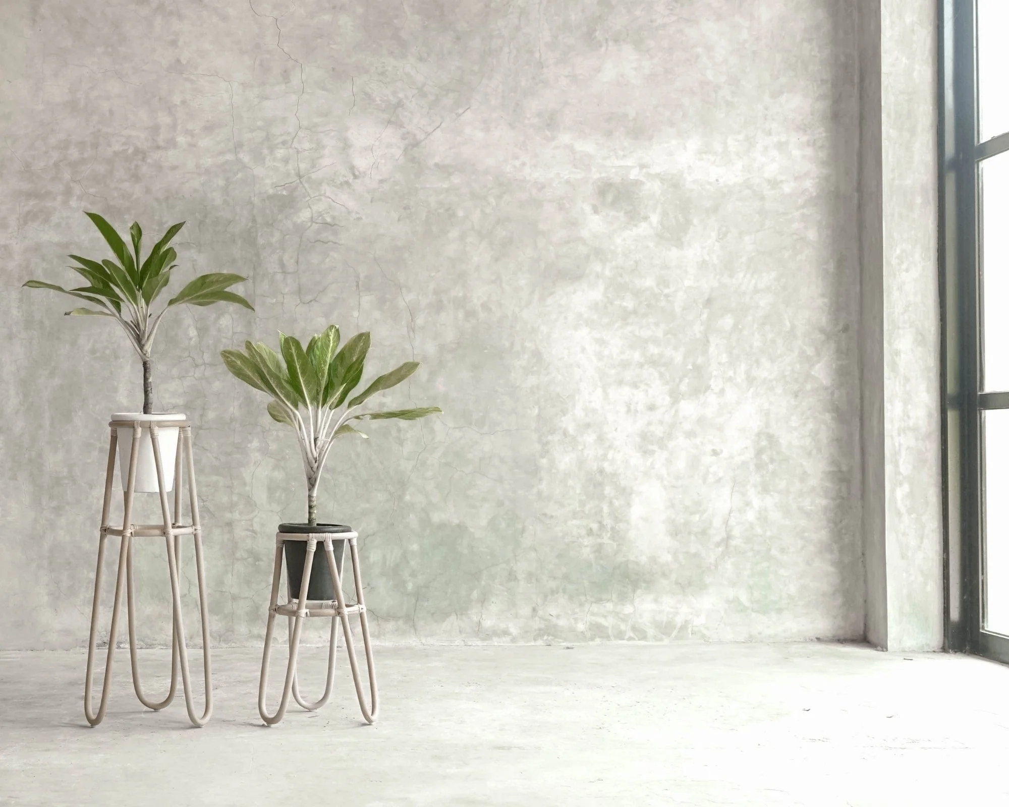 Oasis Plant Stand Natural Small - Image 2