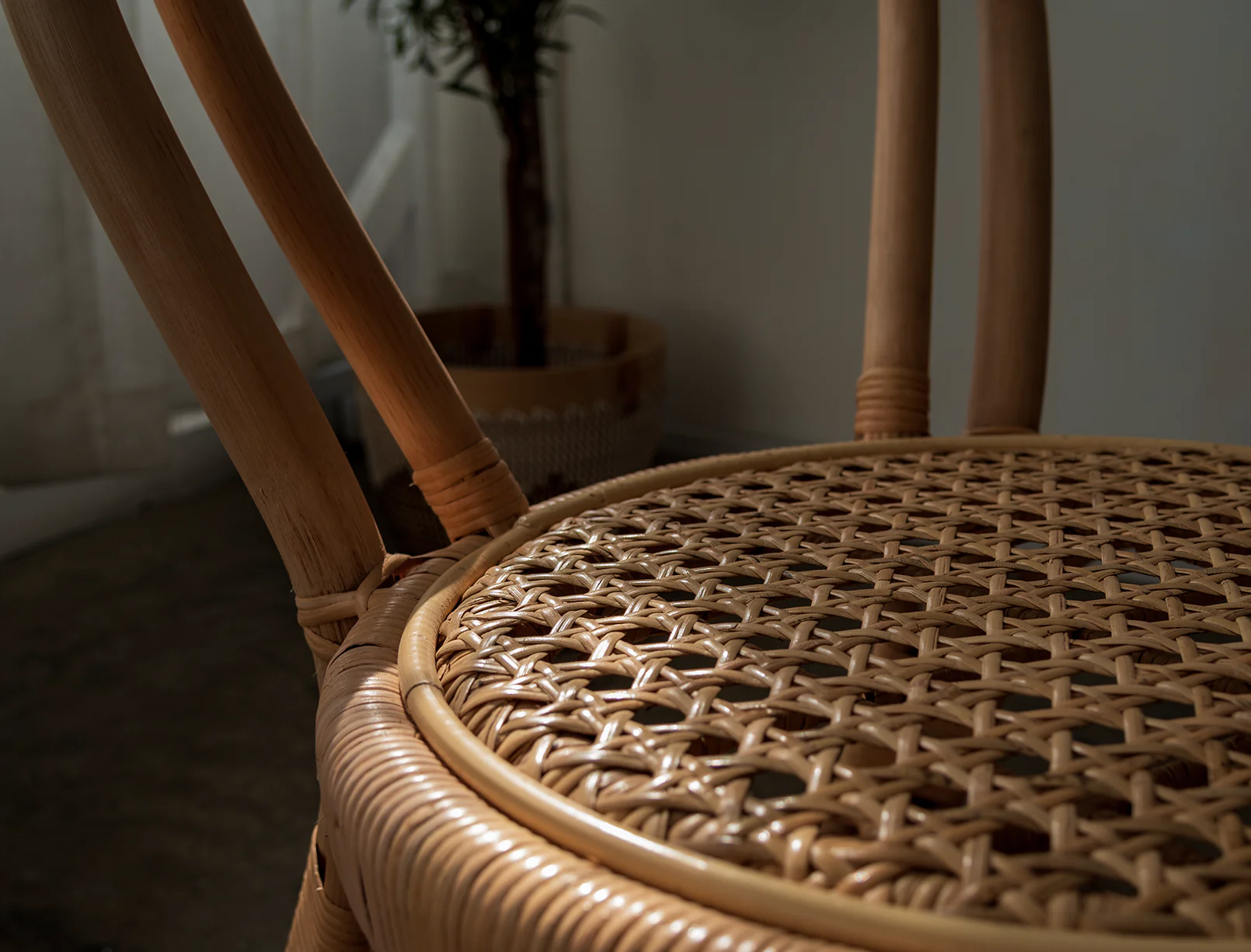 Wasabi Dining Chair - Image 4